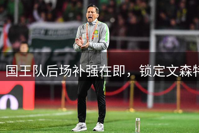 国王队后场补强在即，锁定文森特等多位后卫人选